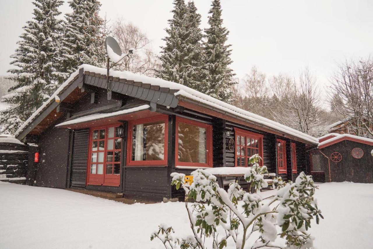 Ferienhaus Naturliebe Winterberg Bagian luar foto